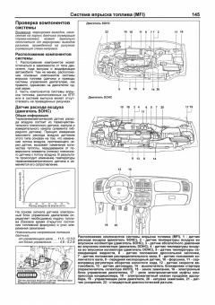 Hyundai Accent с 1999-2006 / Tagaz 2002-2012гг. Книга, руководство по ремонту и эксплуатации. Легион-Автодата
