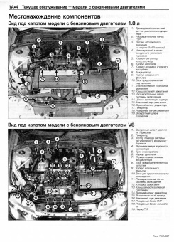 Rover 75 и MG ZT c 1999-2006 гг. Книга, руководство по ремонту и эксплуатации. Алфамер