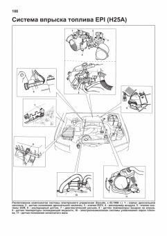 Suzuki Grand Vitara, XL7, Escudo, Chevrolet Tracker, Mazda Levante 1997-2006 бензин, каталог з/ч, электросхемы. Книга, руководство по ремонту и эксплуатации автомобиля. Профессионал. Легион-Aвтодата