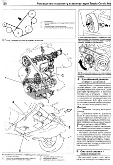 Toyota Corolla Verso с 2002. Книга, руководство по ремонту и эксплуатации. Чижовка